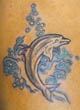 Coras Tattoo